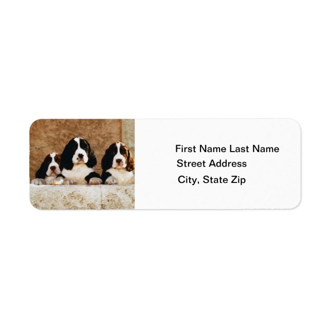 English Springer Spaniel Puppies Label (Front)