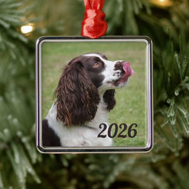 English Springer Spaniel Sitting, Licking Lips Metal Ornament (Tree)