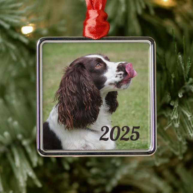 English Springer Spaniel Sitting, Licking Lips Metal Ornament (Tree)