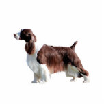 English Springer Spaniel Statuette<br><div class="desc">English Springer Spaniel</div>