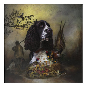 English Springer Spaniel with pheasant    Acrylic Print