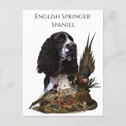 English Springer Spaniel with pheasant    Postcard