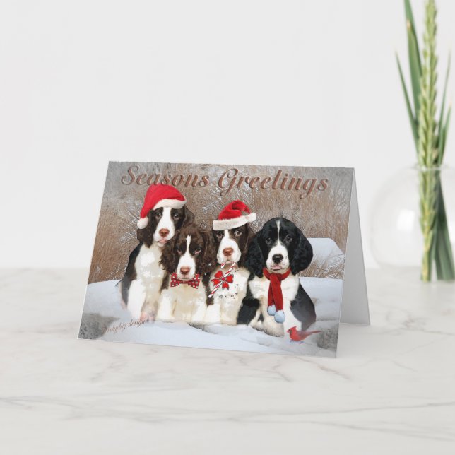 English Springer Spaniels Season Greetings Cards (Front)