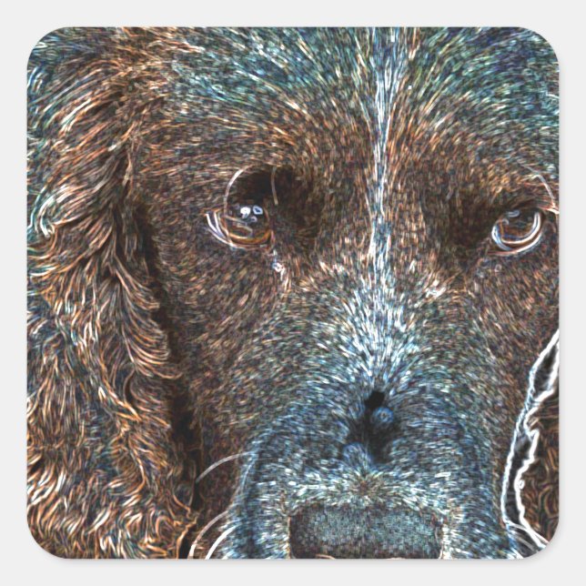 English Springer Square Sticker (Front)