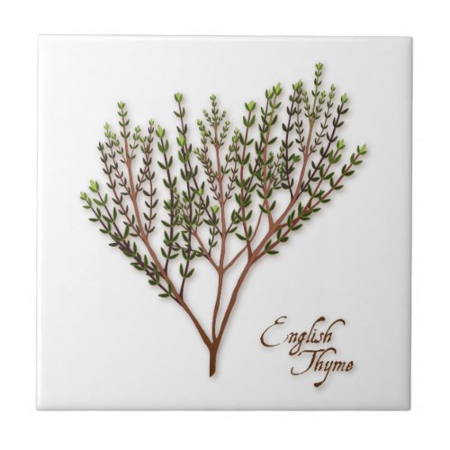 English Thyme Herb Ceramic Tile