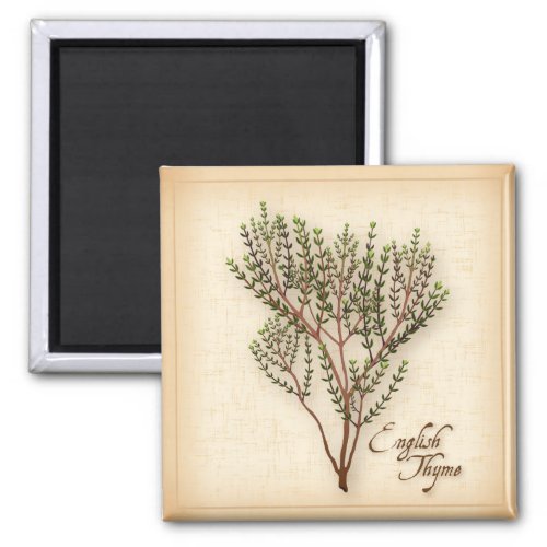 English Thyme Herb Magnet