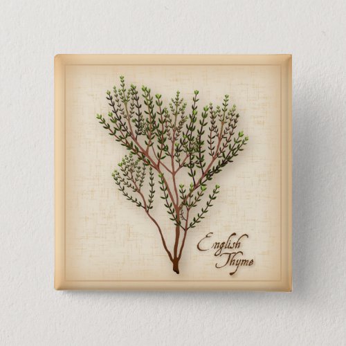 English Thyme Herb Pinback Button