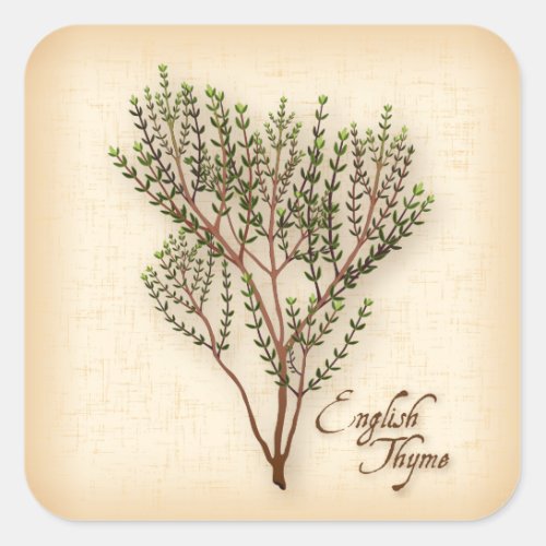 English Thyme Herb Square Sticker