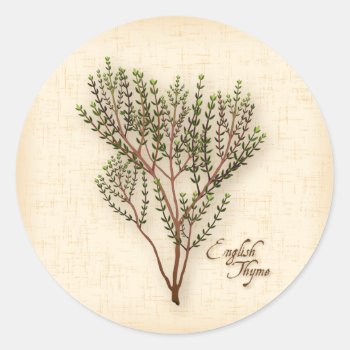 English Thyme Herb Stickers by pomegranate_gallery at Zazzle