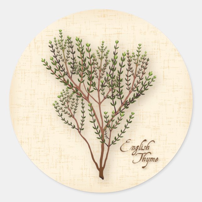 English Thyme Herb Stickers (Front)