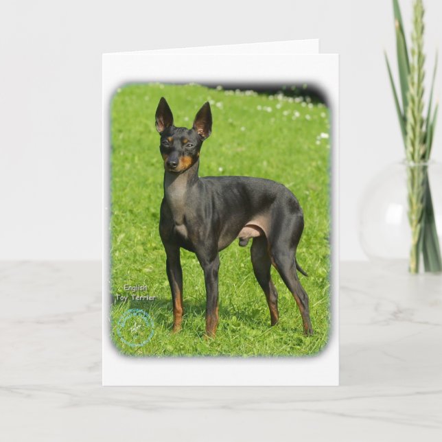English Toy Terrier 9R78D-77 Card (Front)