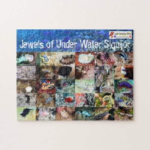 English version Jewels of Under Water Siquijor Jigsaw Puzzle