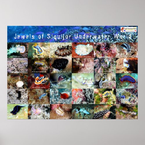 English version Jewels of Under Water Siquijor Poster