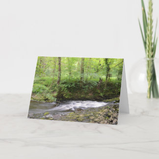 English Woodland Stream Card