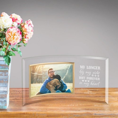 Engraved Pet Memorial Curved Glass Picture Frame