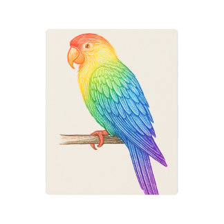 Engraved Rainbow Parrot Metal Print