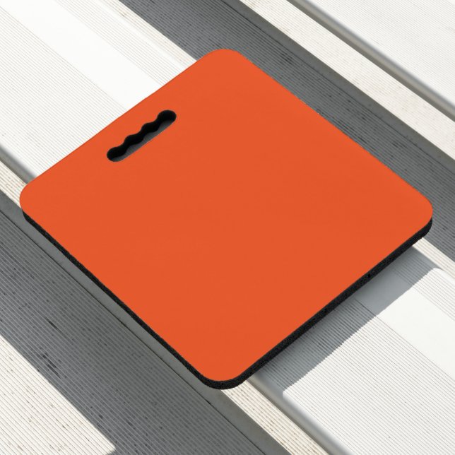 Enhance Your Space with an Eye-Catching Orange Seat Cushion (In Situ)