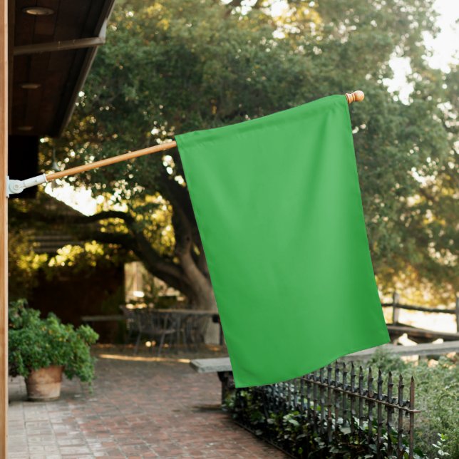 Enhance Your Website with a Green Background House Flag (In SItu)