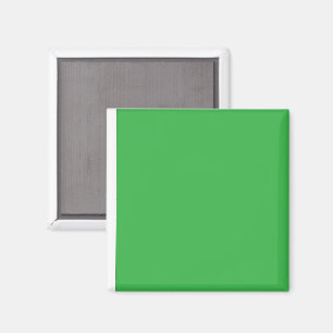 Enhance Your Website with a Green Background Magnet