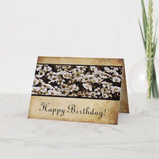 Enhanced Dasies Happy birthday Card