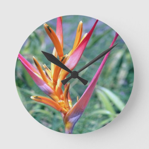 Enhanced Hawaiian Heliconia Flower Wall Clock