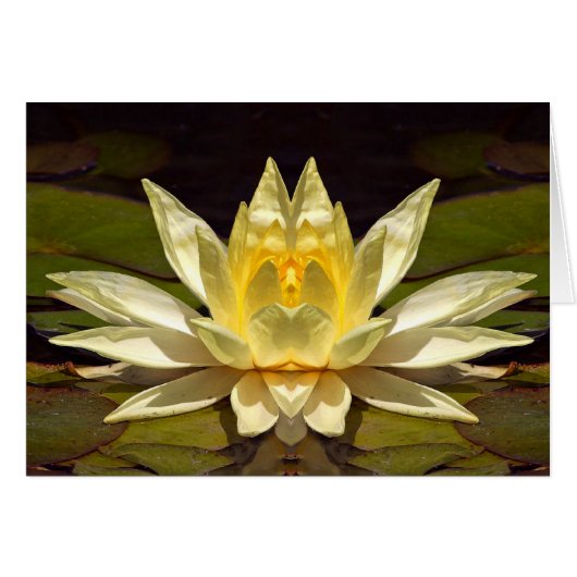 Enhanced Lotus1 Card (Front Horizontal)