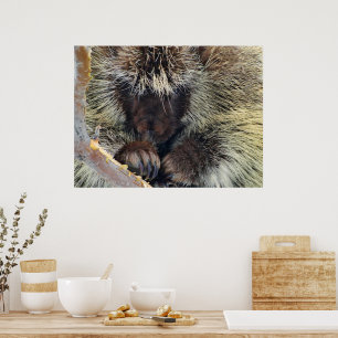 Enigma of Nature Poster