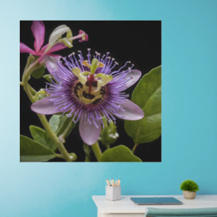 Enigmatic Beauty: the Purple Passion Flower Wall Decal