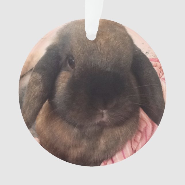 Enjoy having this little guy hanging on your tree. ornament (Front)