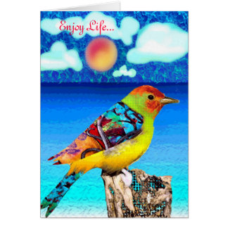 Enjoy Life Cards