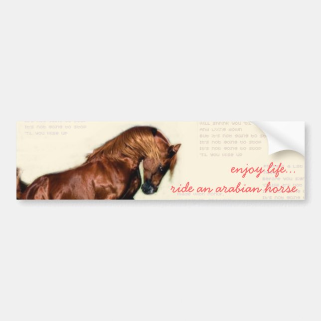 enjoy life...ride an arabian horse bumper sticker (Front)