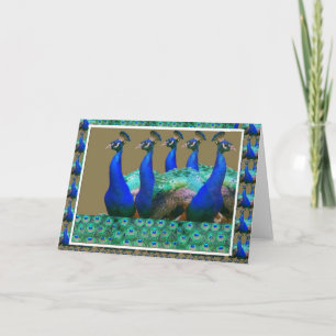 Enjoy:  PEaCOCK n Feathers Art Graphics Card
