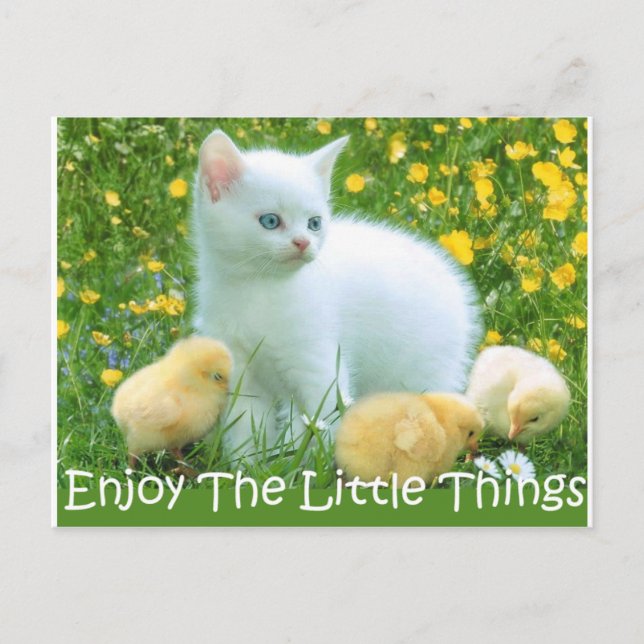 Enjoy The Little Things Cute Animals Postcard (Front)
