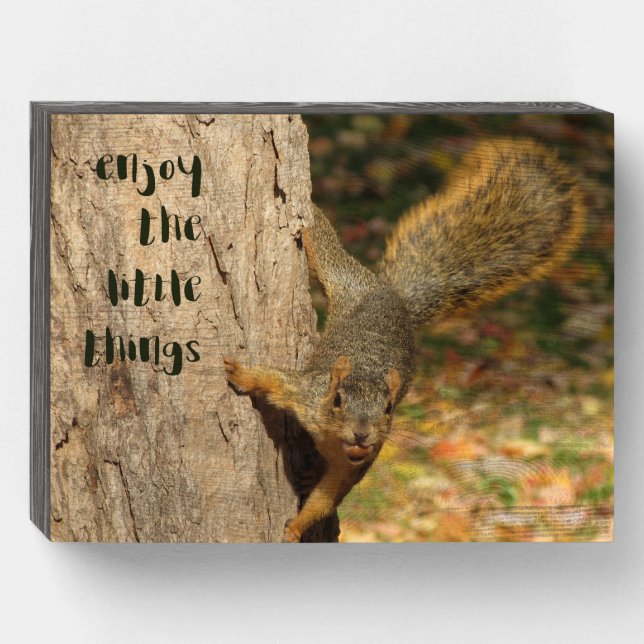 Enjoy the Little Things Cute Squirrel Wooden Box Sign (Front Horizontal)