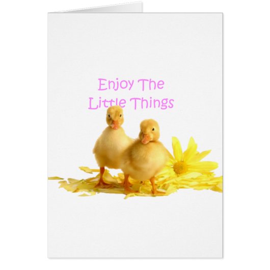 Enjoy The Little Things, Ducklings Cards (Front)