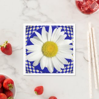 Enjoy the Shasta Daisy Beauty