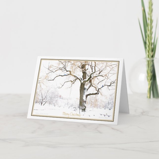 Enjoy the Simple Pleasures of the Season: Holiday Card (Front)
