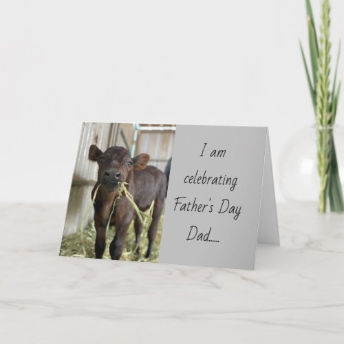 ENJOY YOUR DAY DAD  I LOVE YOU FATHERS DAY CARD
