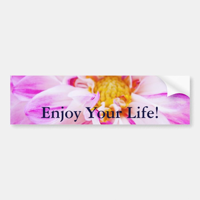 Enjoy Your Life bumper stickers Pink Dahlias