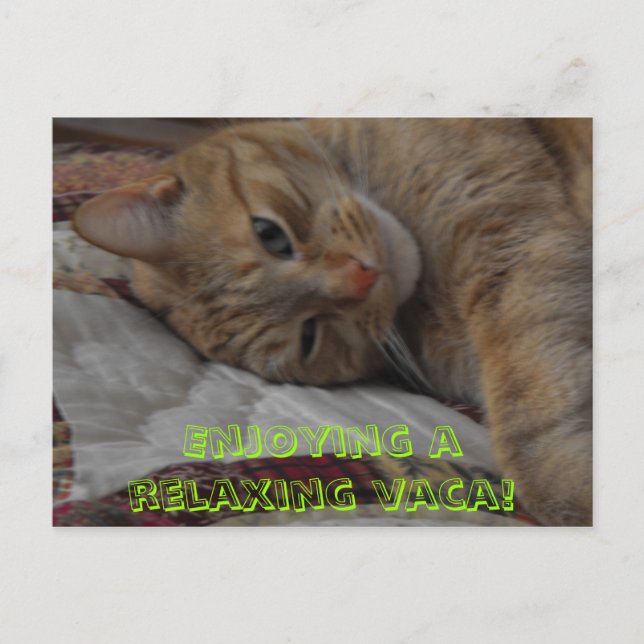 , Enjoying a relaxing vaca! Postcard (Front)