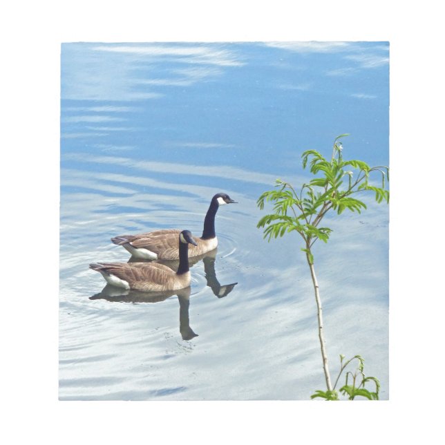 Enjoying a Swim Notepad (Front)