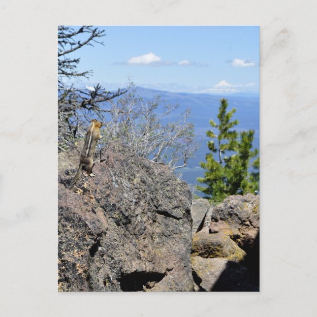 Enjoying the View Postcard (Front)