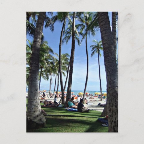 Enjoying Waikiki Beach Postcard