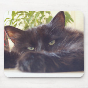 Enjoying your mouse mouse pad