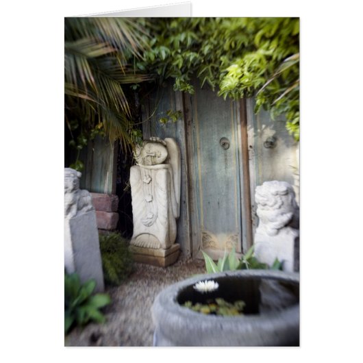 Enlightenment Garden (Front)