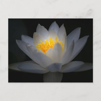 enlightenment postcard