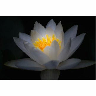 enlightenment statuette