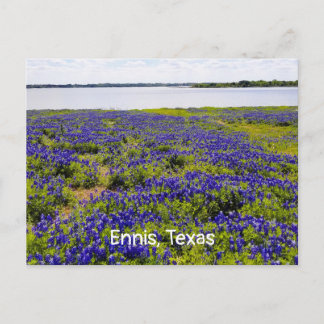 Ennis Bluebonnets by Lake Bardwell Postcard