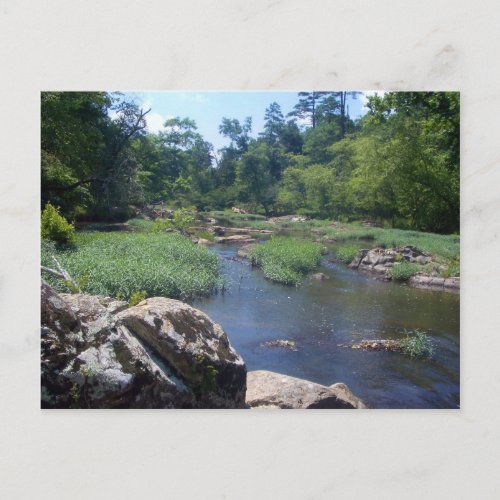 Eno River North Carolina Postcard