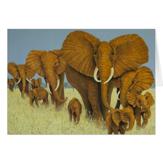 Enormous but caring cards (Front Horizontal)